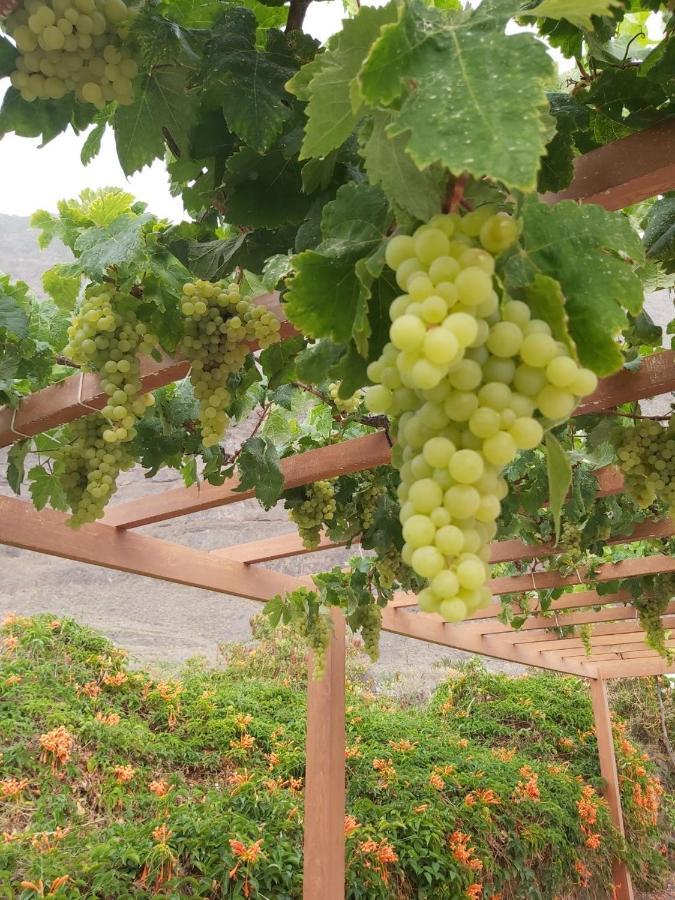 Willa Mi Jardin Jerez de la Jerez de la Frontera Zewnętrze zdjęcie