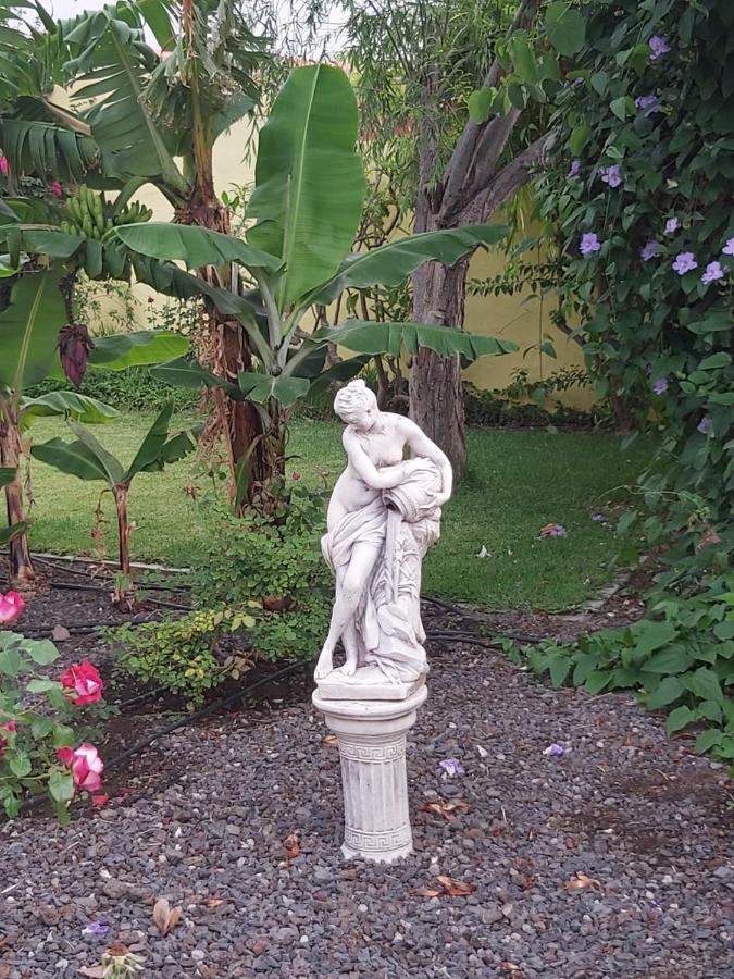 Willa Mi Jardin Jerez de la Jerez de la Frontera Zewnętrze zdjęcie