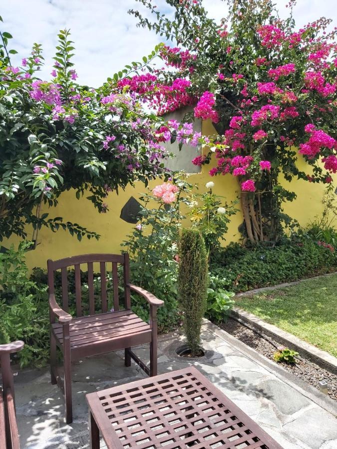 Willa Mi Jardin Jerez de la Jerez de la Frontera Zewnętrze zdjęcie
