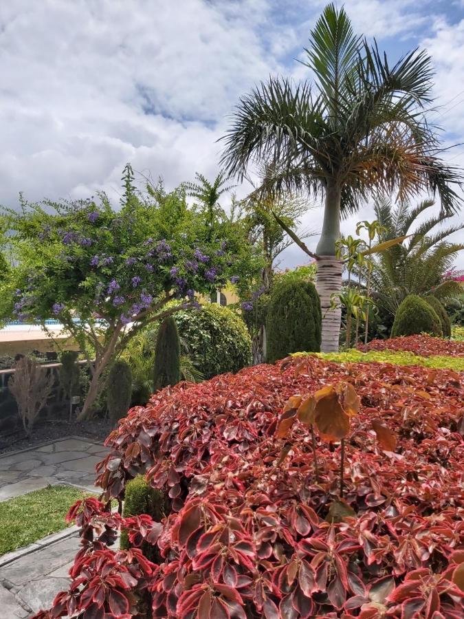 Willa Mi Jardin Jerez de la Jerez de la Frontera Zewnętrze zdjęcie