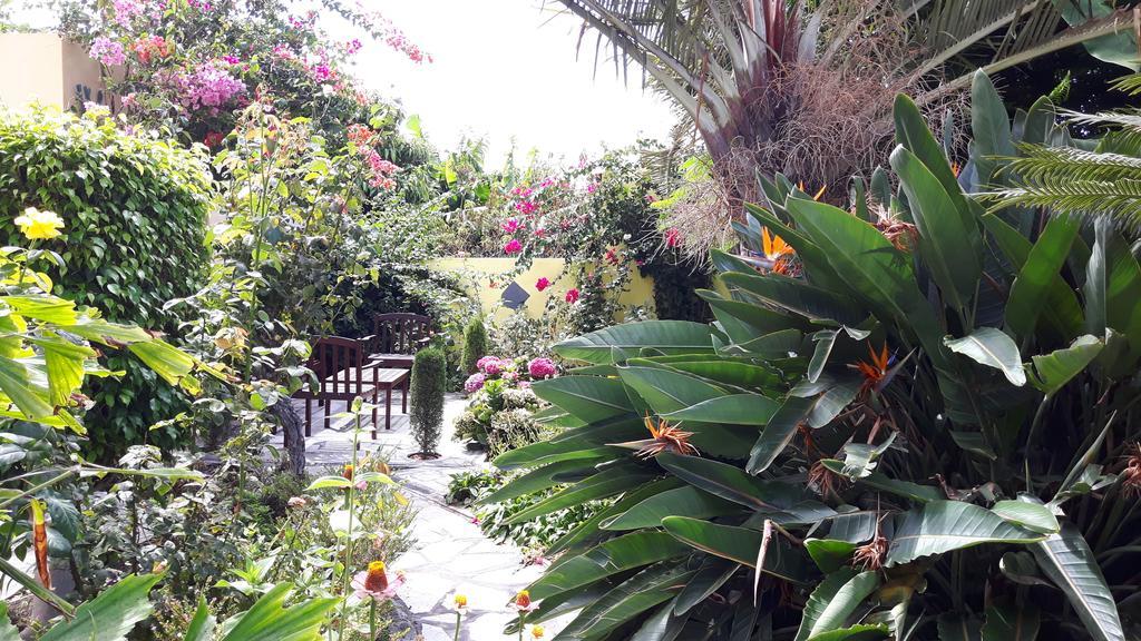 Willa Mi Jardin Jerez de la Jerez de la Frontera Zewnętrze zdjęcie