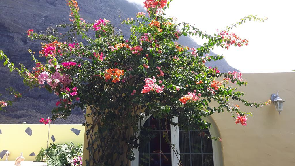 Willa Mi Jardin Jerez de la Jerez de la Frontera Zewnętrze zdjęcie