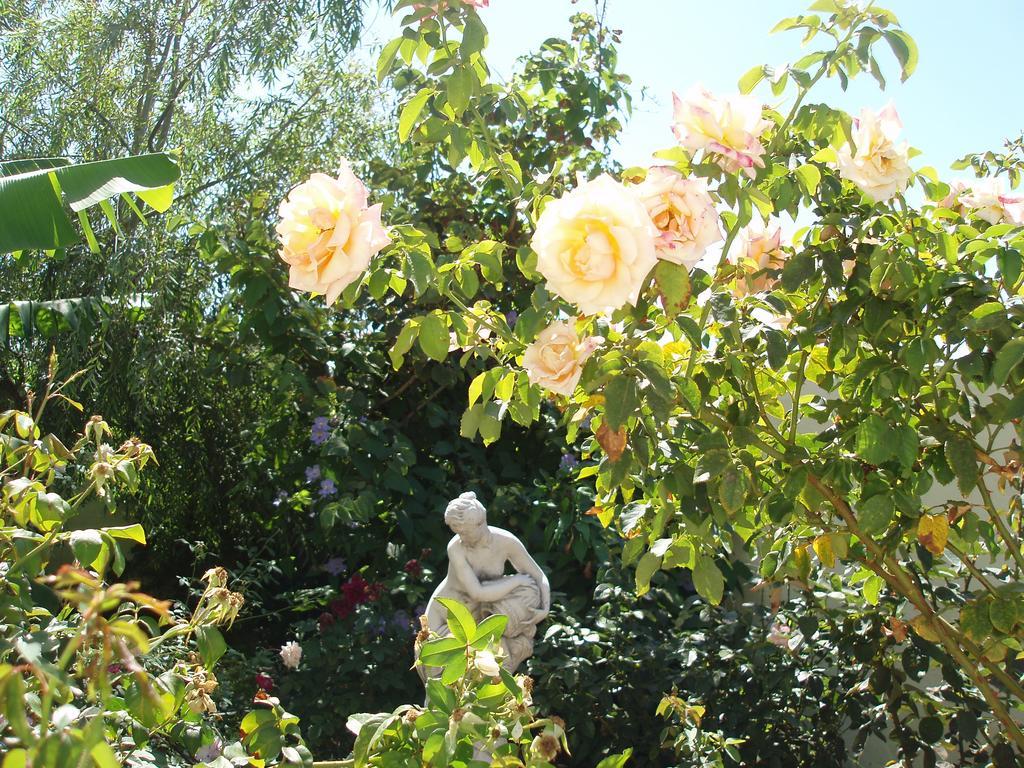 Willa Mi Jardin Jerez de la Jerez de la Frontera Zewnętrze zdjęcie
